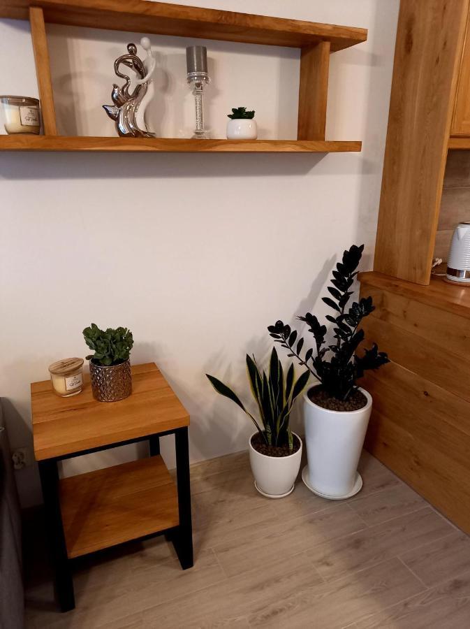 Apartament Green Park Starogard Gdański エクステリア 写真